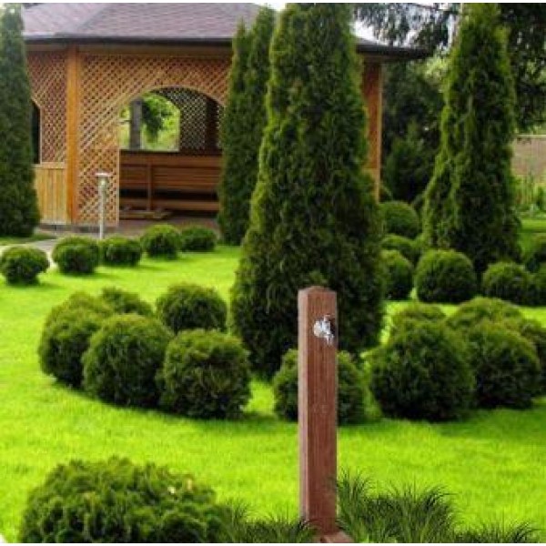 Колонка водораздаточная PILLAR(темное дерево) Колонка водораздаточная PILLAR(темное дерево)